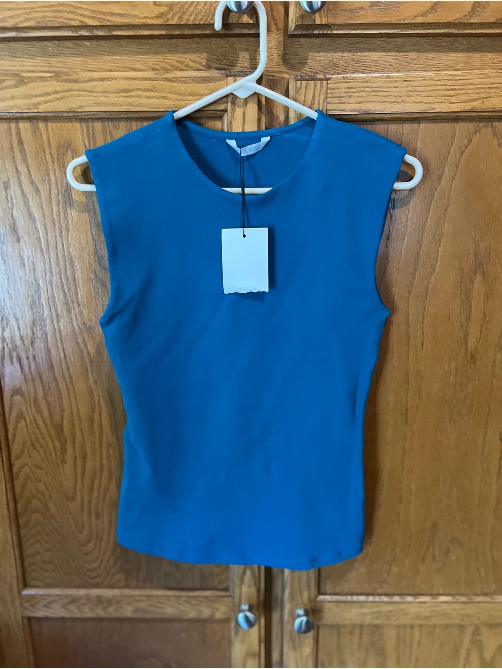 NWT Zara Teal Sleeveless Top
